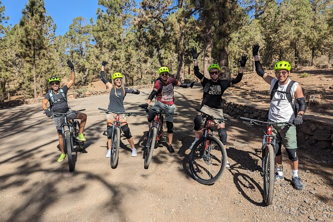 Biking Adventure From Teide To Sea With Wine And Cheese Tasting Overview Of The Tour