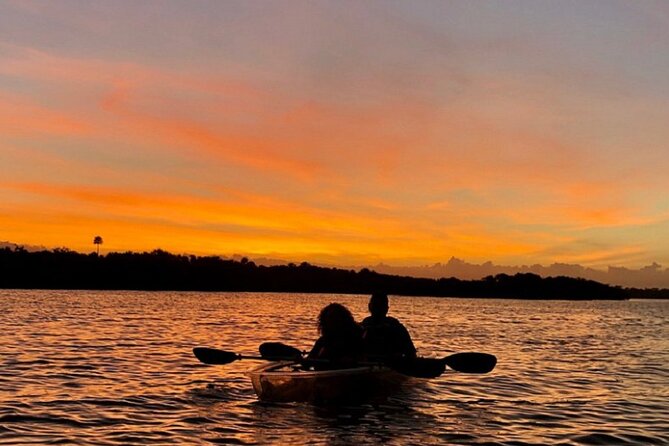 Bioluminescence Kayak Tour - Overview of the Tour