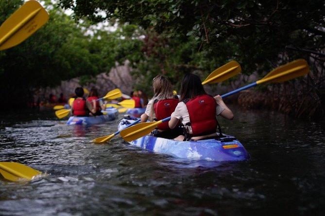 Bioluminescent Bay Kayak Adventure Tour From San Juan - Tour Overview