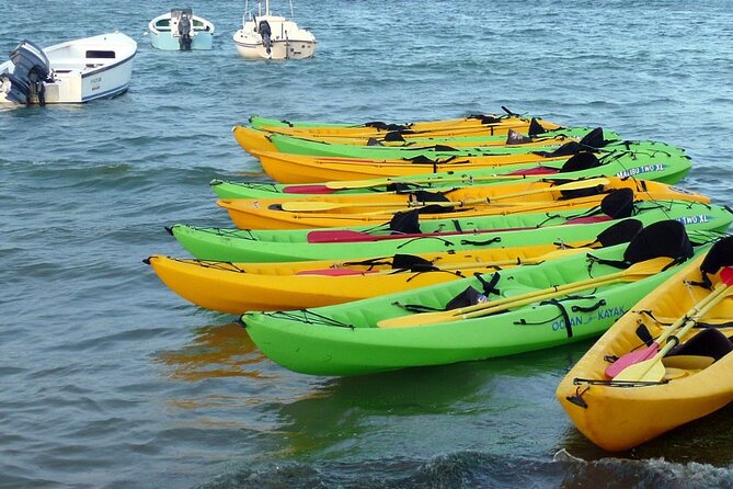 Bioluminescent Bay Night Kayak Experience Experience Overview