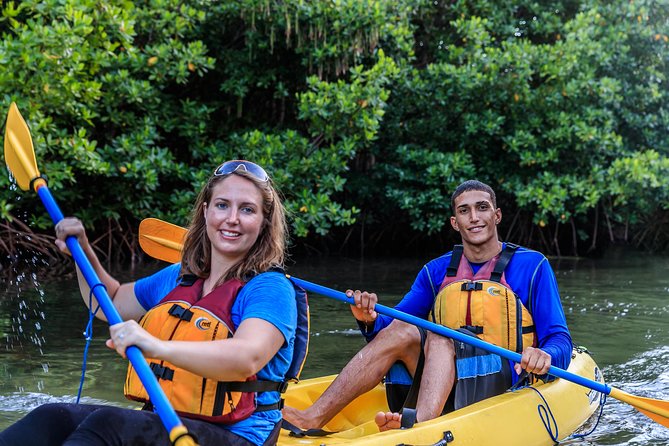 Bioluminescent Bay Night Kayaking Tour In Laguna Grande Fajardo Tour Overview