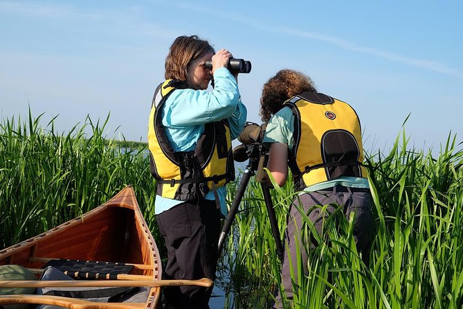 Birdwatch Premium Guided Canoe Tour At Cape Vente, Nemunas Delta Regional Park Tour Overview