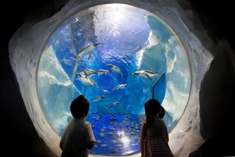 Birmingham: National Sea Life Centre Entrance Ticket Location And Accessibility