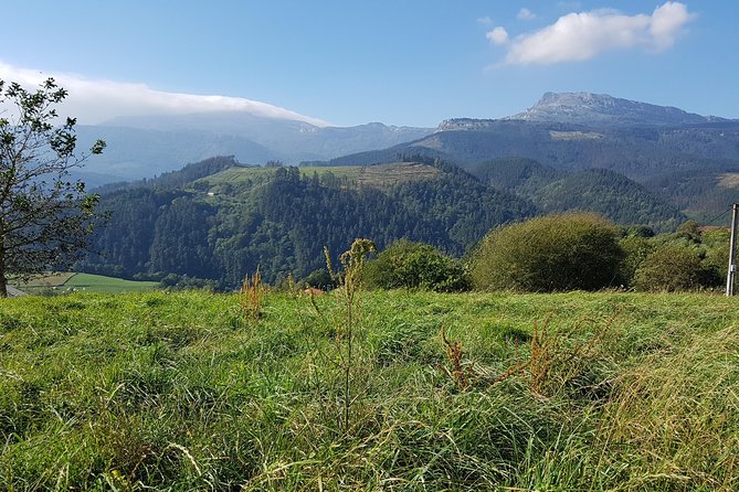 Bizkaia, Duranguesado Route. Beautiful Villages and Mountain Landscapes. - Tour Overview