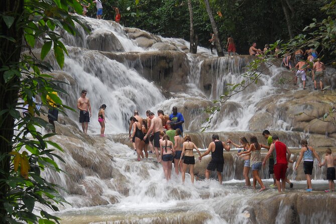 Blue Hole And Dunn's River Falls Tour With Lunch And Cocktails At Reggae Hill Inclusions And Highlights