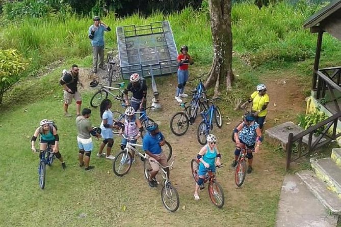 Blue Mountain Bicycle Tour From Montego Bay Tour Overview