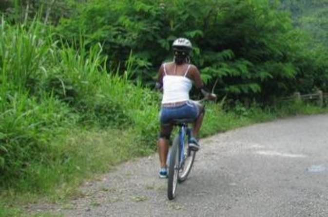 Blue Mountain Bicycle Tour From Runaway Bay Inclusions