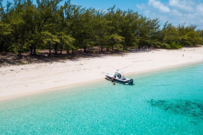 Bluefinn242 Swim With the Turtles in Nassau Bahamas - Pickup and Drop-off