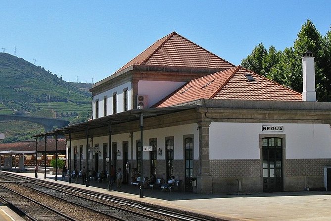 Boat Trip To Régua Through The Douro Valley With Breakfast And Lunch Exclusions