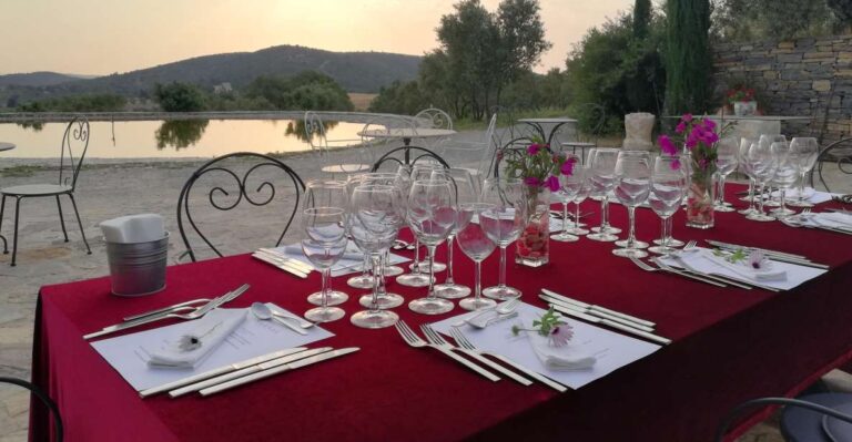 Bodrum Vineyard Tour With Dinner And Wine Pairing Activity Overview