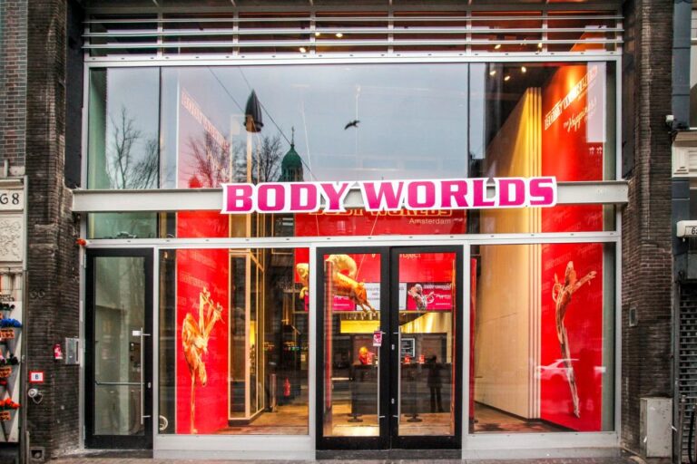 Body Worlds Amsterdam: The Happiness Project Ticket Ticket Pricing And Availability