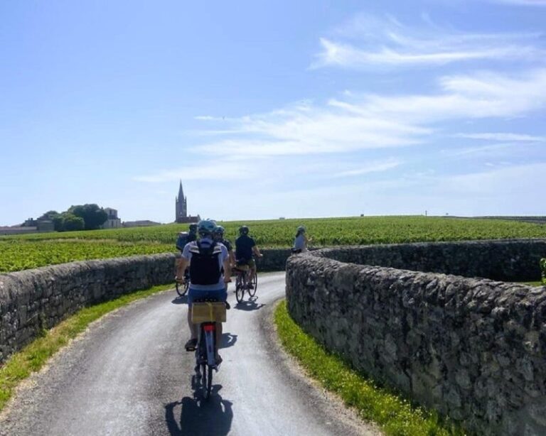 Bordeaux: St Emilion Vineyards E Bike Tour With Wine & Lunch Tour Overview