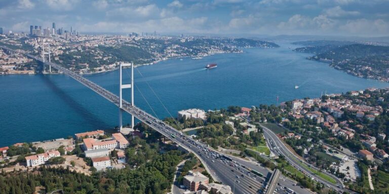 Bosphorus Cruise From Istanbul Airport Tour Overview