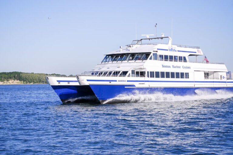 Boston: Whale Watching Catamaran Cruise Cruise Overview And Details