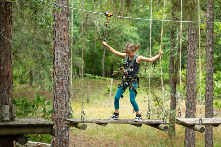 Bradenton: Adventure Course Entry Ticket Ticket Options And Pricing