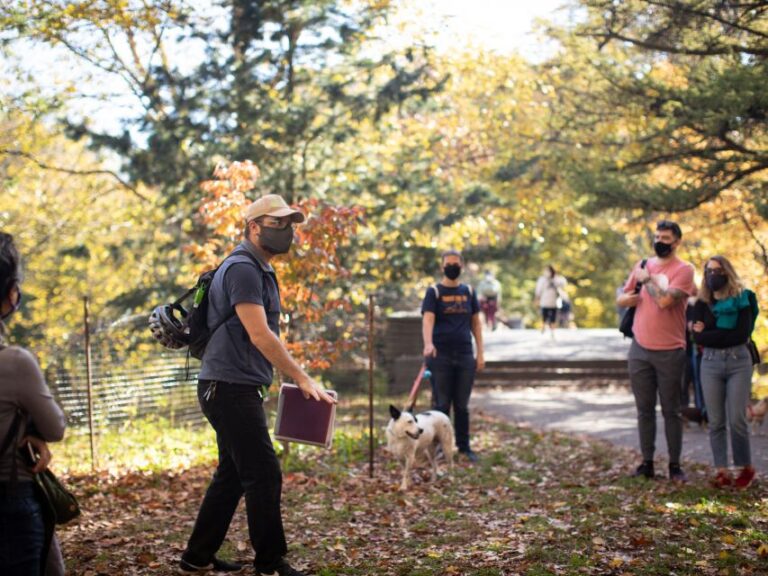 Brooklyn: 2 Hour Prospect Park Guided Walking Tour Tour Overview