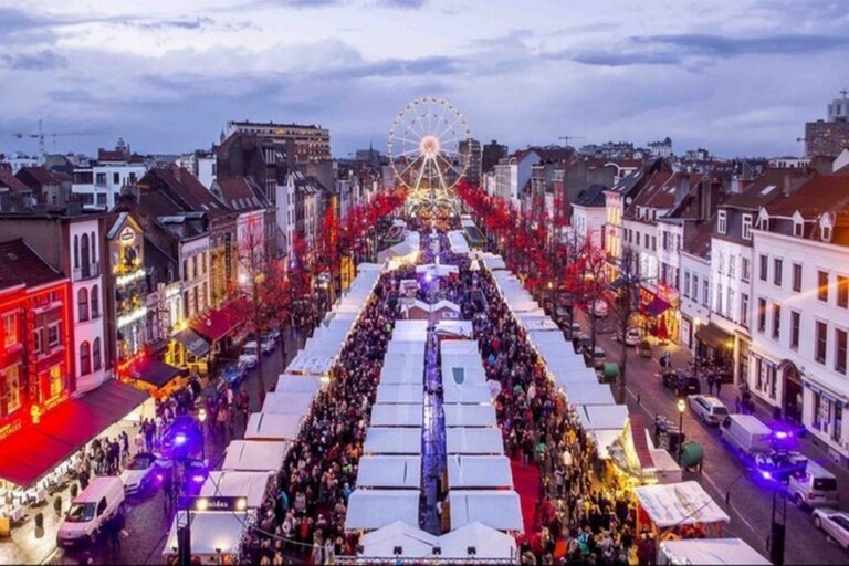 Brussels: 4 Hour Private Christmas Market Guided Tour Tour Overview