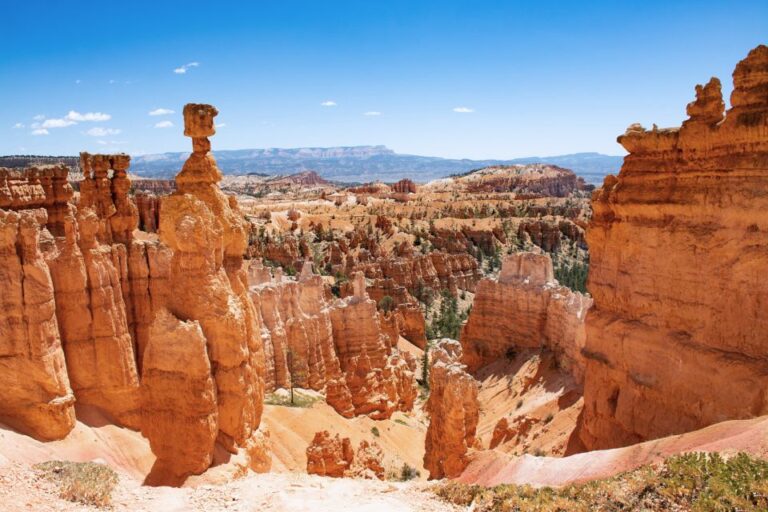 Bryce Canyon National Park: Guided Atv/rzr Tour Tour Overview