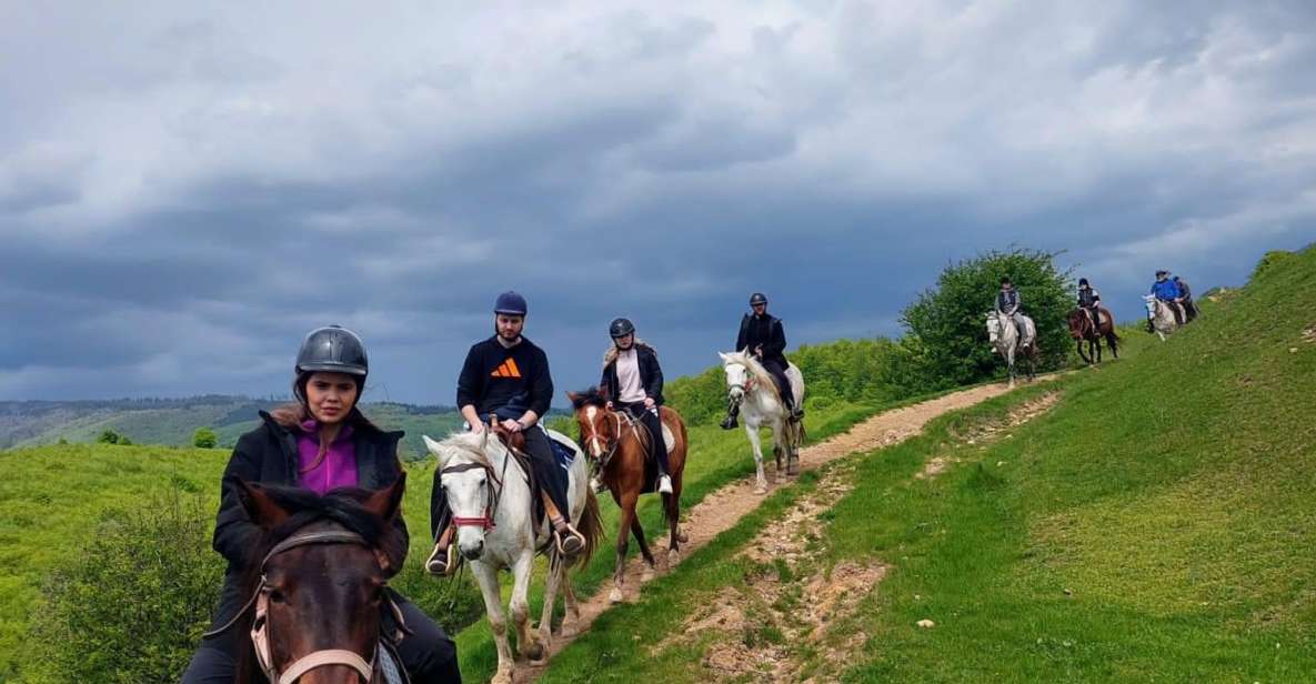 Bucharest: Horseback In the Nature and Traditional Lunch - Tour Overview and Pricing