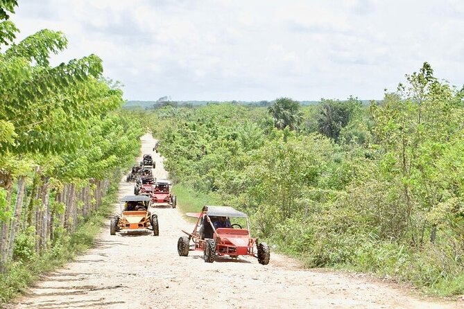 Buggies Ecological Adventure Tour in Macao From Bávaro Punta Cana - Tour Overview