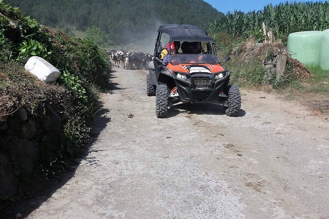 Buggy – Off-Road Excursion W/ Lunch – Coast to Coast (Shared) - Tour Logistics and Confirmation