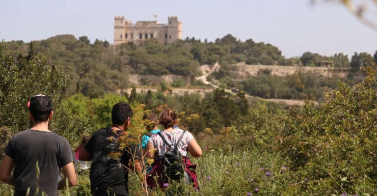 Buskett Woodlands And Dingli Cliffs Private Nature Tour Tour Overview And Pricing