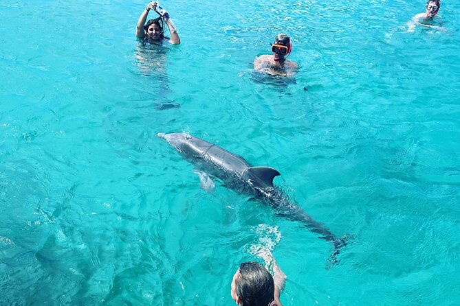 BVI Private Sailing Charter to Jost Van Dyke - Lunch and Beverages