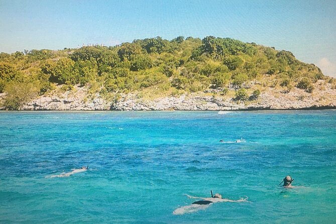 Cades Reef Snorkel Cruise From St. Johns Antigua Overview Of The Cruise