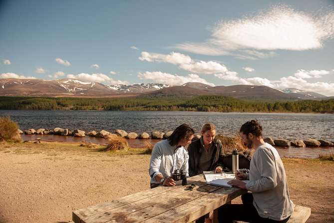 Cairngorms & Whisky Day Tour From Inverness Including Admission Highland Scenery