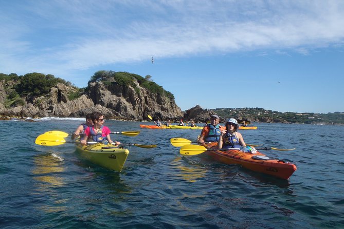 Calanques National Park Kayak Day Tour - Highlights of the Tour