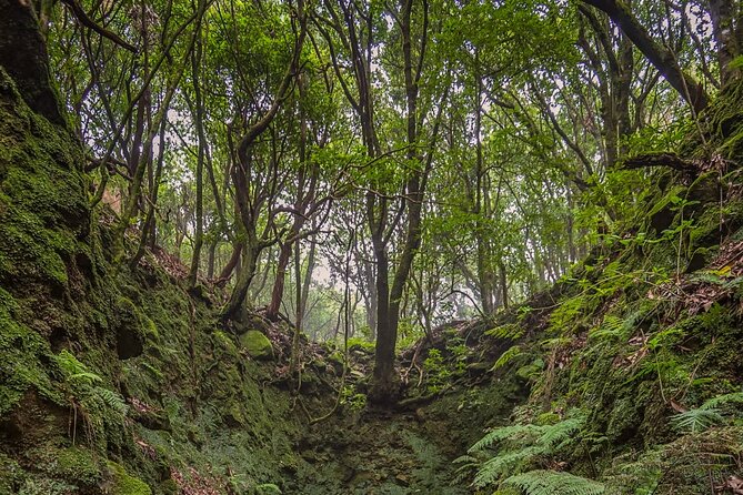 Calderão Verde Levadas Walk In Madeira Overview Of The Levada Do Caldeirao Verde