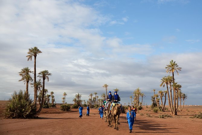 Camel And Quad Biking Tour From Marrakech Tour Overview