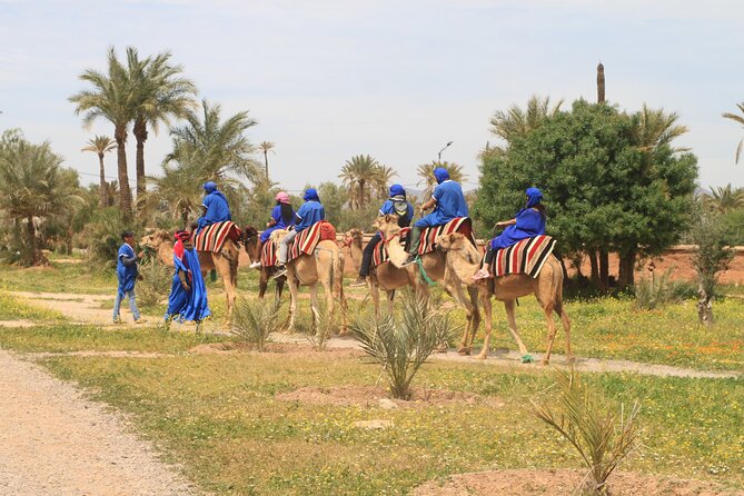 Camel Ride and Dinner Under the Stars in the Agafay Desert - Overview of the Activity