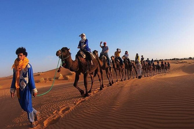 Camel Ride Experience - Experience Overview