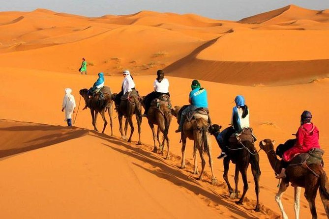 Camel Ride In Tangier Whats Included In The Tour