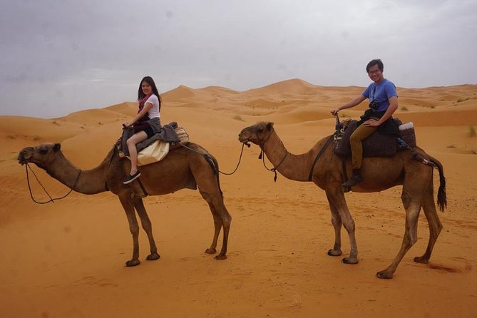 Camel Ride With Luxury Desert Camp And Night In Merzouga Dunes Overview Of The Adventure