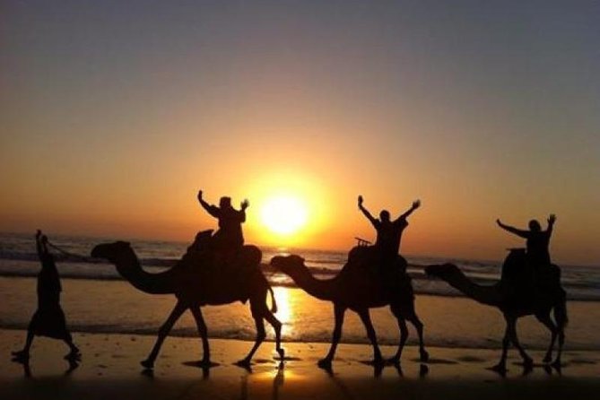 Camel Riding Agadir - Overview of the Experience