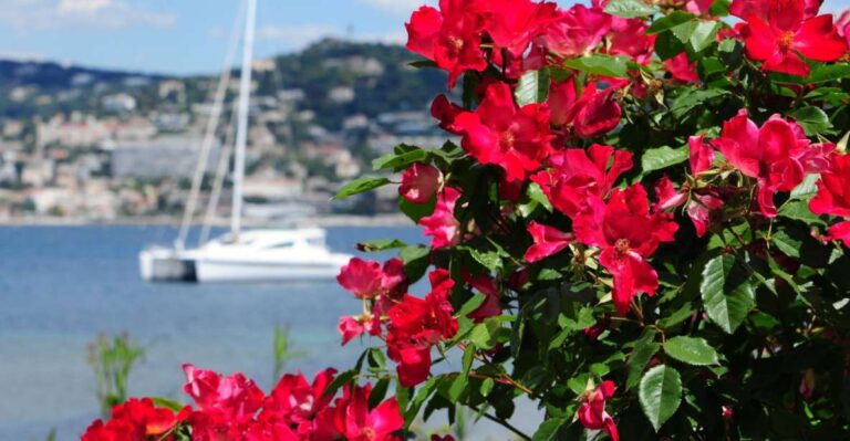 Cannes: Private Trip To Grasse, Antibes, & St. Paul De Vence Explore The Perfume Capital Of Grasse