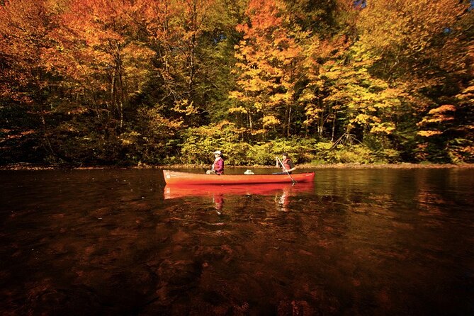 Canoe, Kayak, Paddleboard Rouge River Self Guided Descent Activity Overview