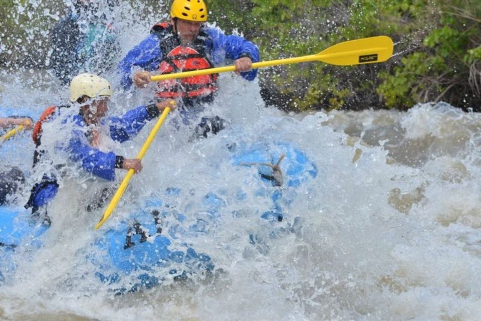 Canon City: Half-Day Royal Gorge Whitewater Rafting Tour - Trip Overview