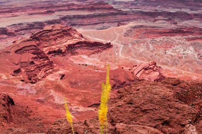 Canyonlands National Park Backcountry 4x4 Adventure From Moab - Navigating the Jeep Wrangler Tour