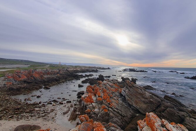 Cape Agulhas Tour Itinerary And Highlights