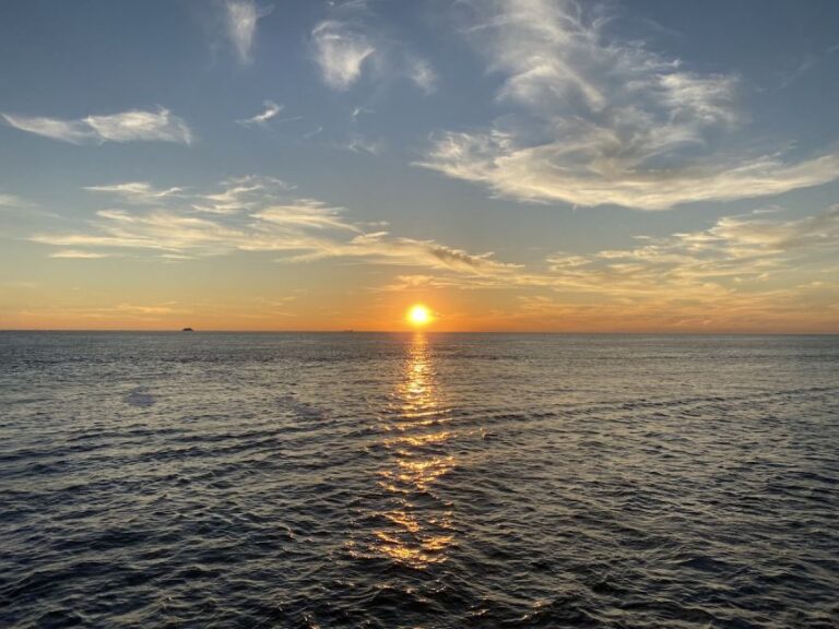 Cape May: Sunset Dolphin Watching Cruise With Food Activity Overview