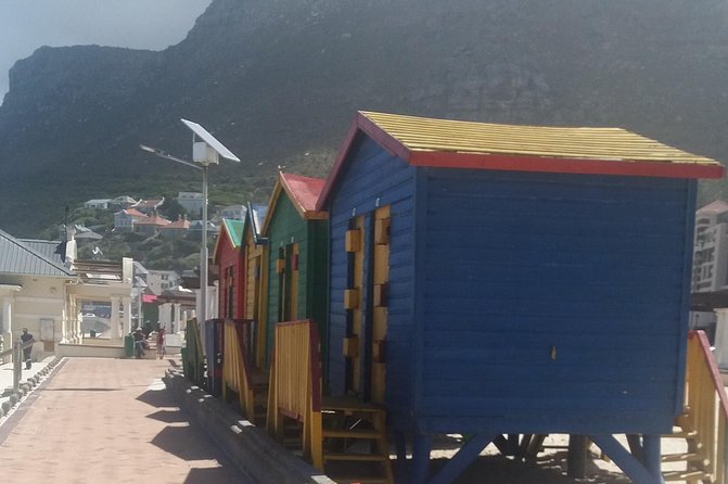 Cape Peninsula Private Tour Tour Overview