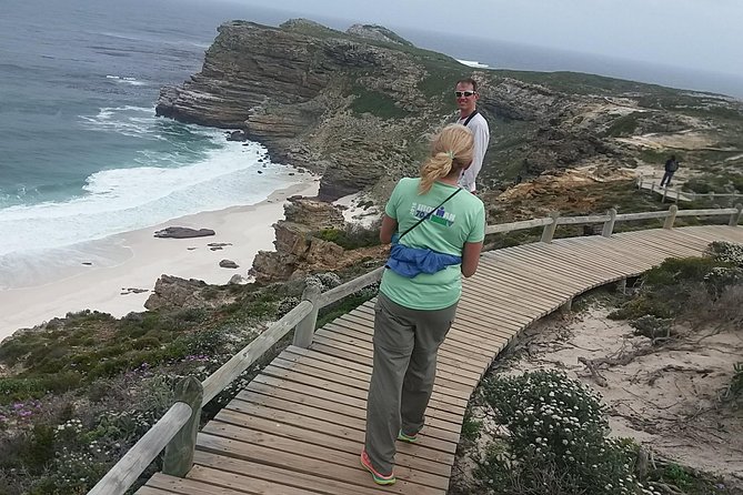 Cape Point Chapmans Peak Drive Penguins Full Day Tour + Wine Tasting Tour Overview