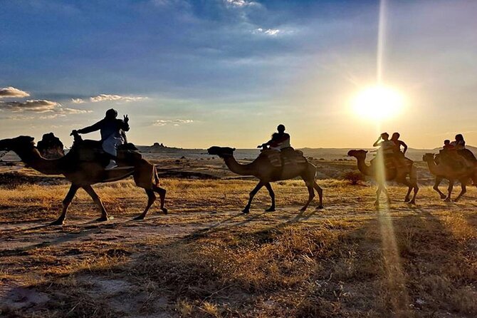 Cappadocia Camel Ride Overview And Experience