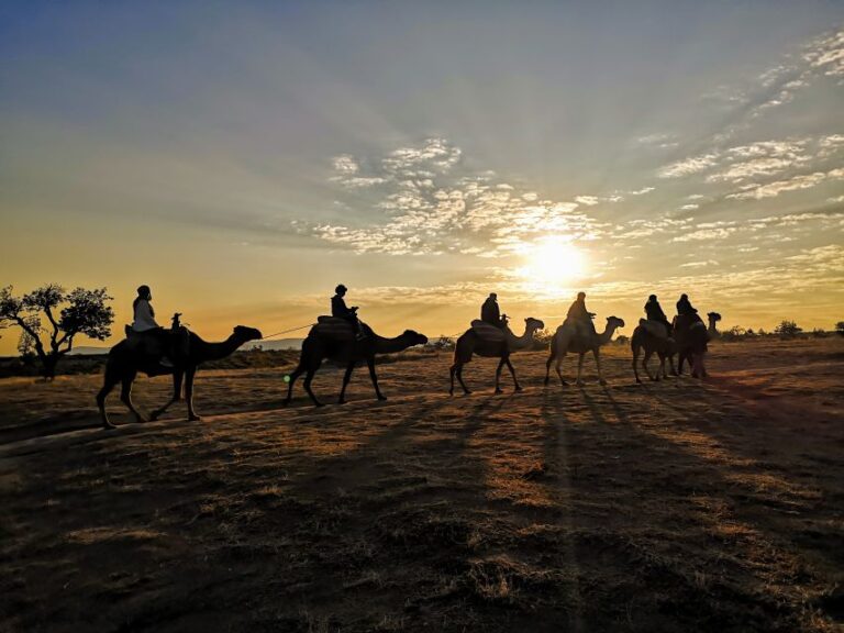 Cappadocia: Sunrise Camel Safari Activity Overview