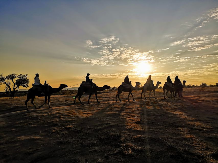 Cappadocia: Sunrise Camel Safari - Activity Overview