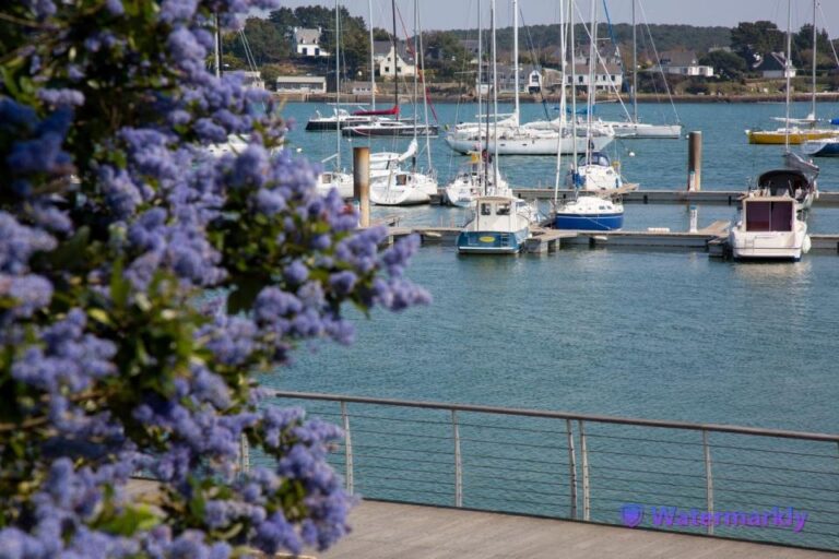 Carnac Tour: Megalithic Marvels And La Trinite Sur Mer Tour Details