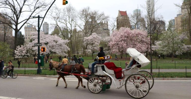 Carriage Ride To/from Tavern On The Green (up To 4 Adults) Service Details